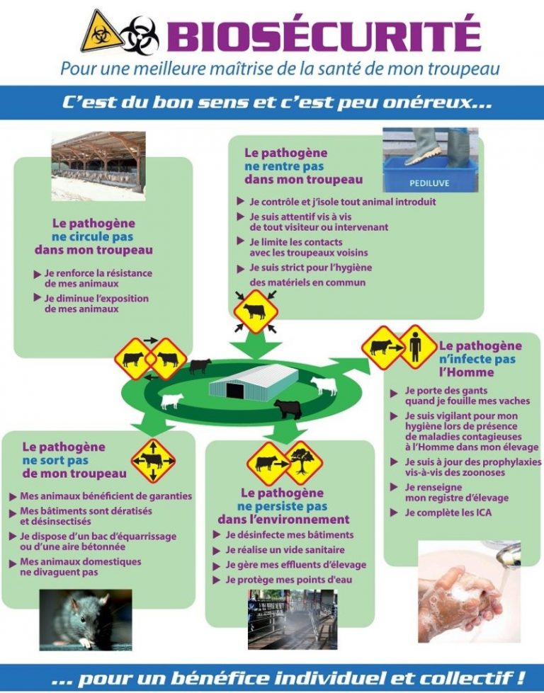 Biosécurité interne et désinfection des bâtiments d’élevage – GDS Hauts ...
