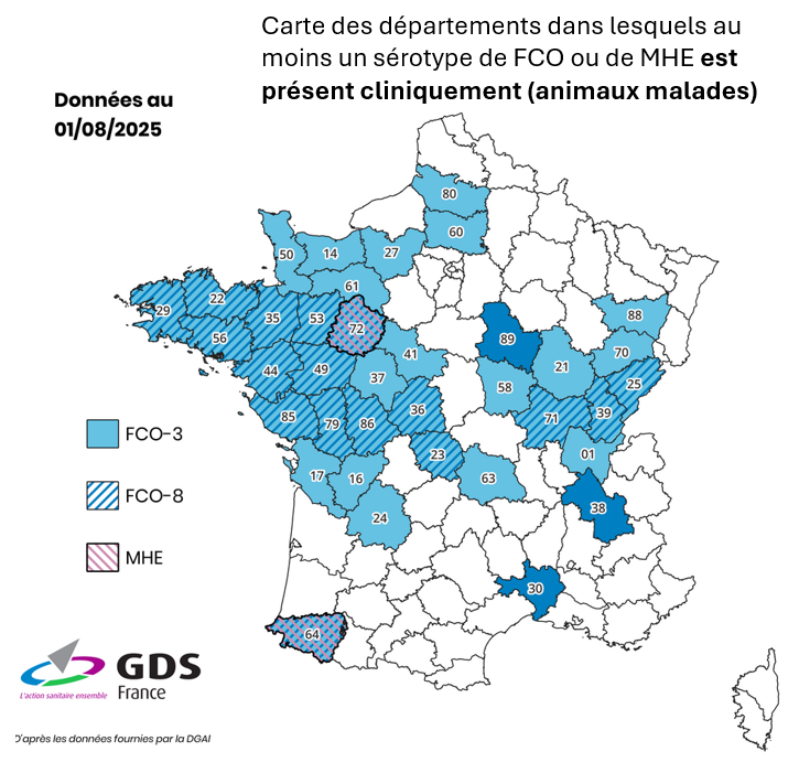 Point de situation FCO et MHE – au 31 juillet 2025
