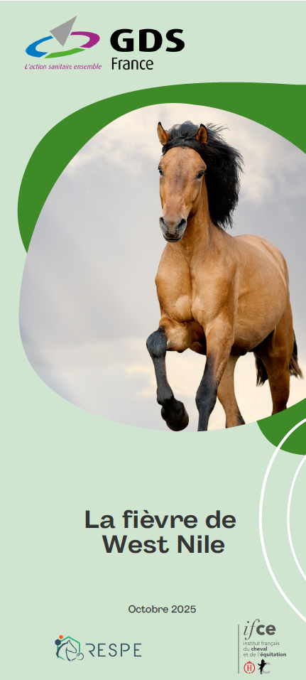 Équidés – Fièvre du Nil occidental (West Nile)