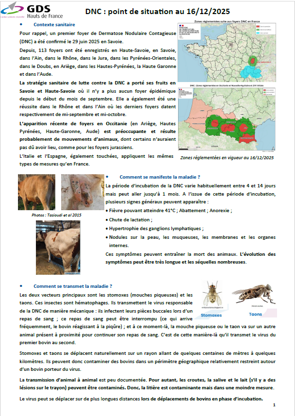 DNC – communication éleveurs du 16 décembre 2025