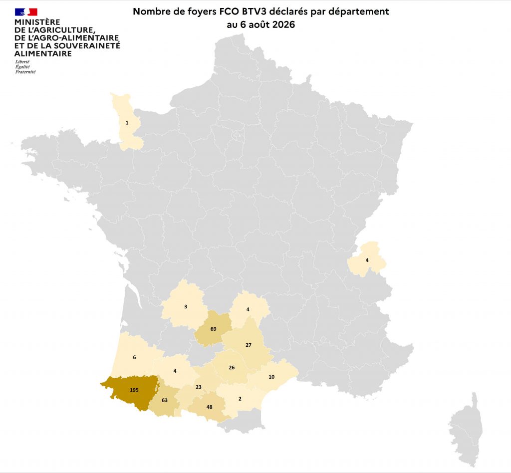 Fièvre Catarrhale Ovine / Maladie Hémorragique Enzootique (MHE)