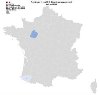 Fièvre Catarrhale Ovine / Maladie Hémorragique Enzootique (MHE)