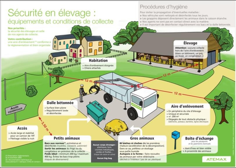 Recommandations sur la gestion des fortes chaleurs et l’équarrissage